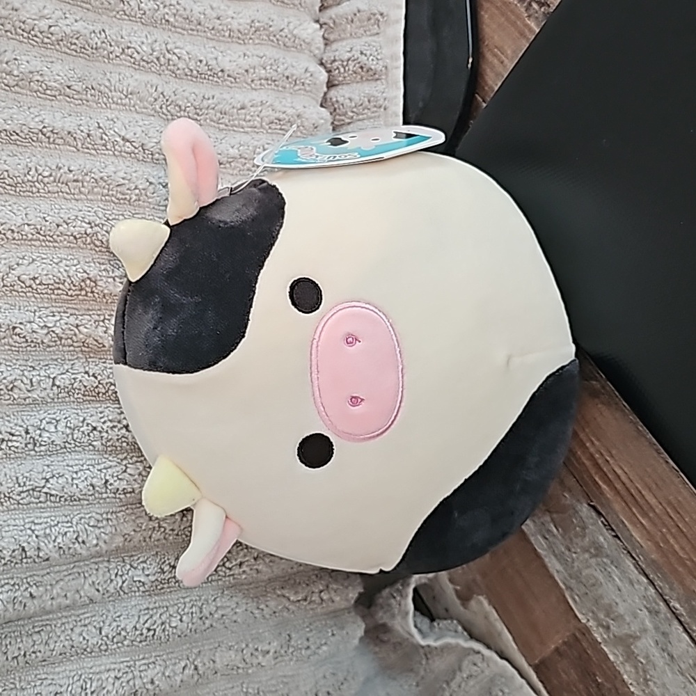 7 in Connor squishmallow